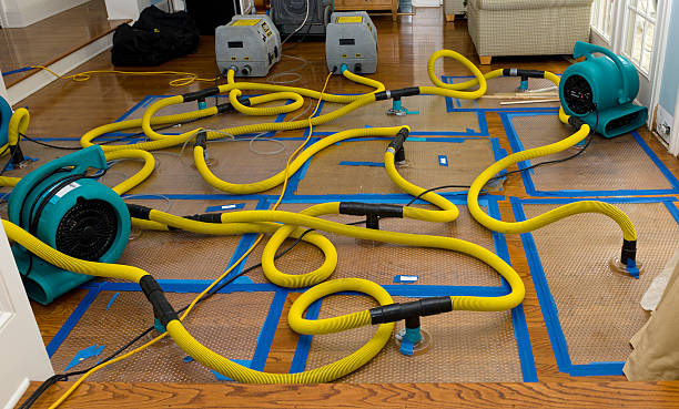 Professional Sewage Cleanup technician working in Big Bend, WI